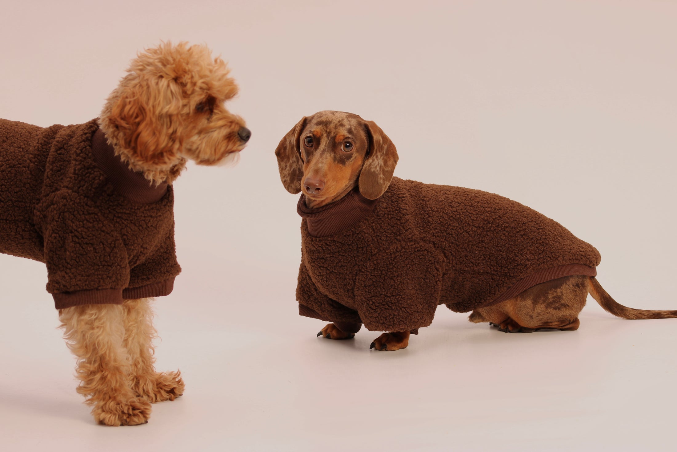 The Cosy Club Jumper