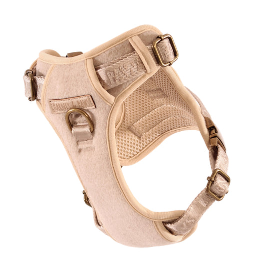 The Teddy 5-Piece Harness Set 3-Click