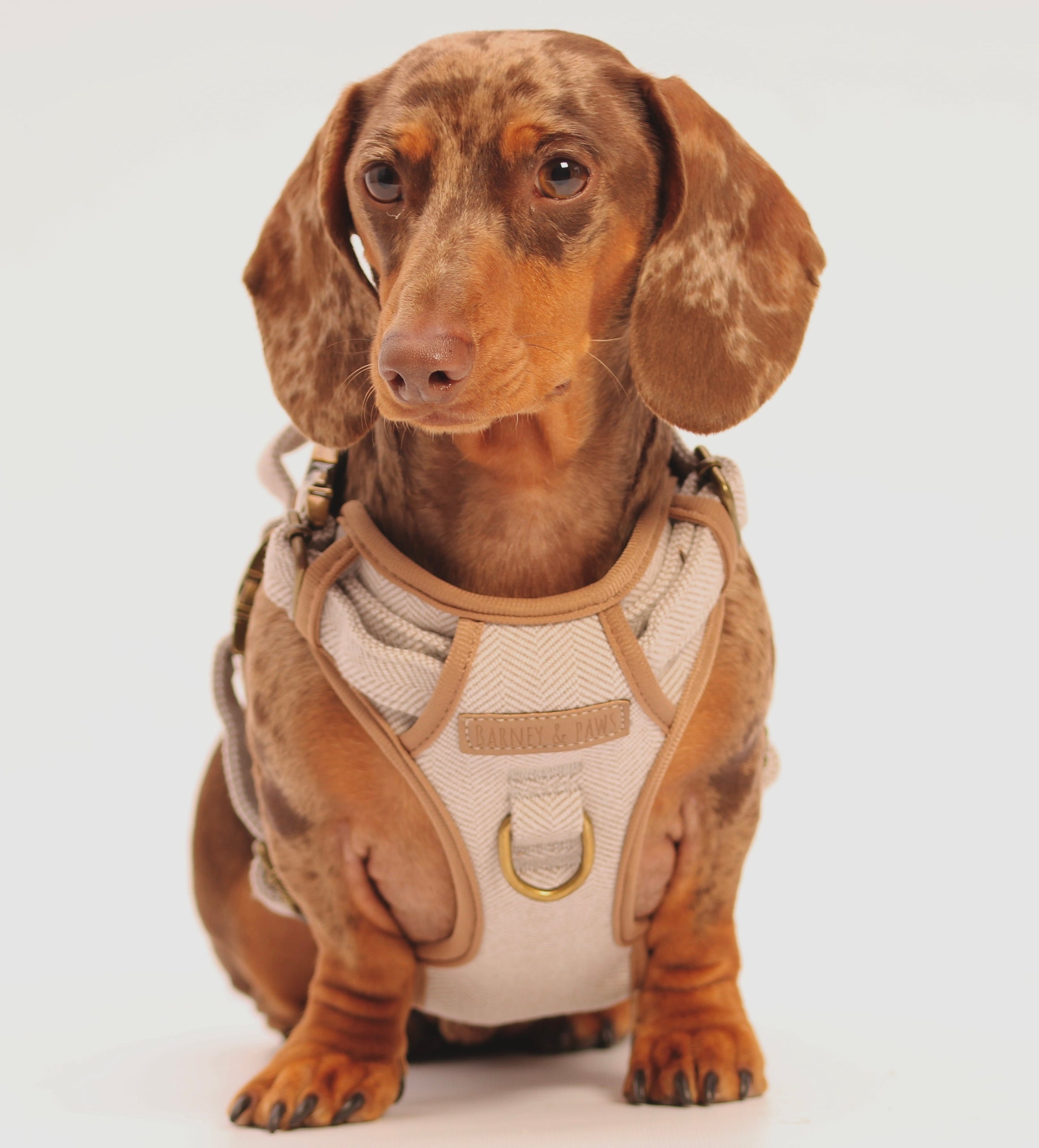 Heritage Three Piece Harness set 3-click