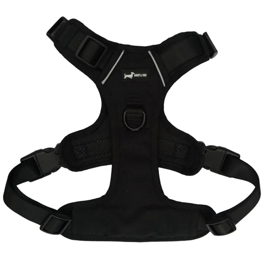 Bark in Black 3-Piece Set -Big dogs only
