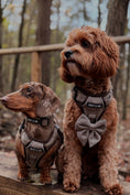 Load image into Gallery viewer, Country Classic 3-Piece Set
