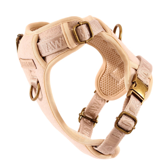 The Teddy 3-Click Harness