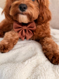 Load image into Gallery viewer, Quilted Chestnut Sailor Bow
