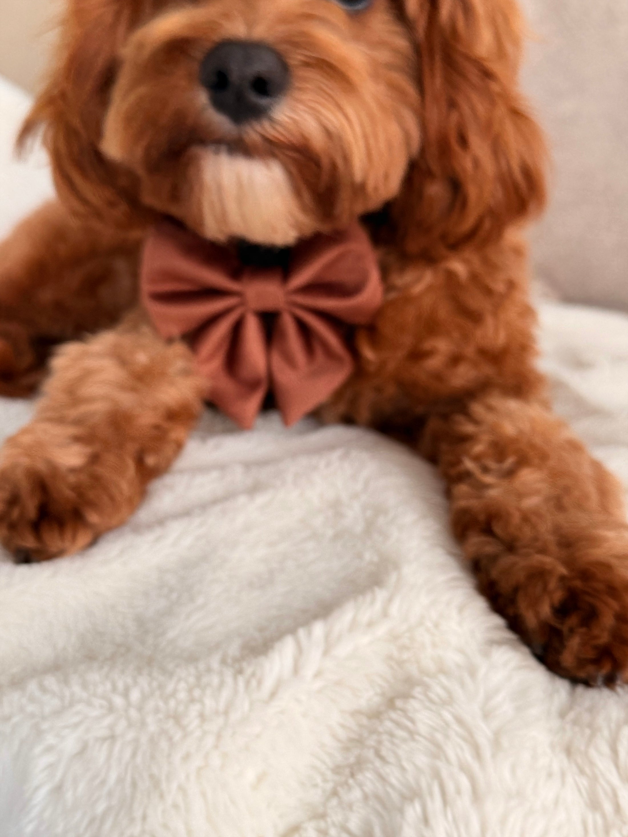 Quilted Chestnut Sailor Bow