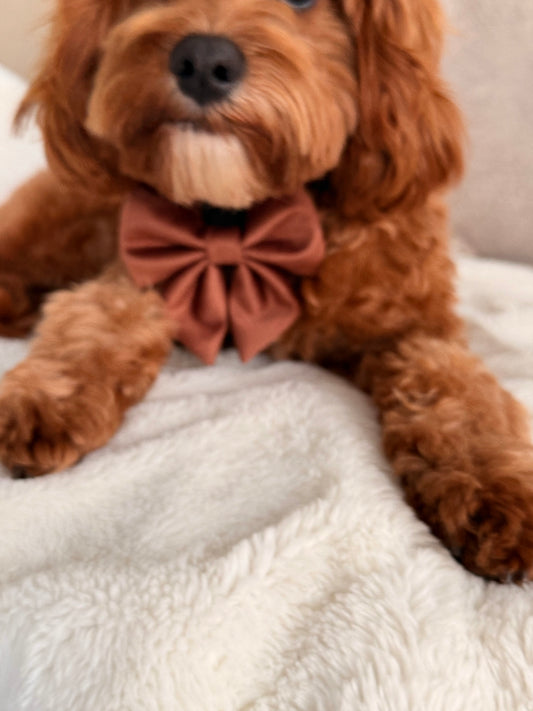 Quilted Chestnut Sailor Bow