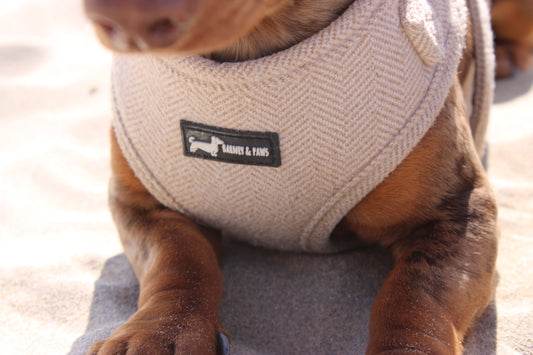 Herringbone Oat Adjustable Neck Harness