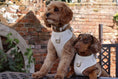 Load image into Gallery viewer, Oatmere Adjustable Neck Harness
