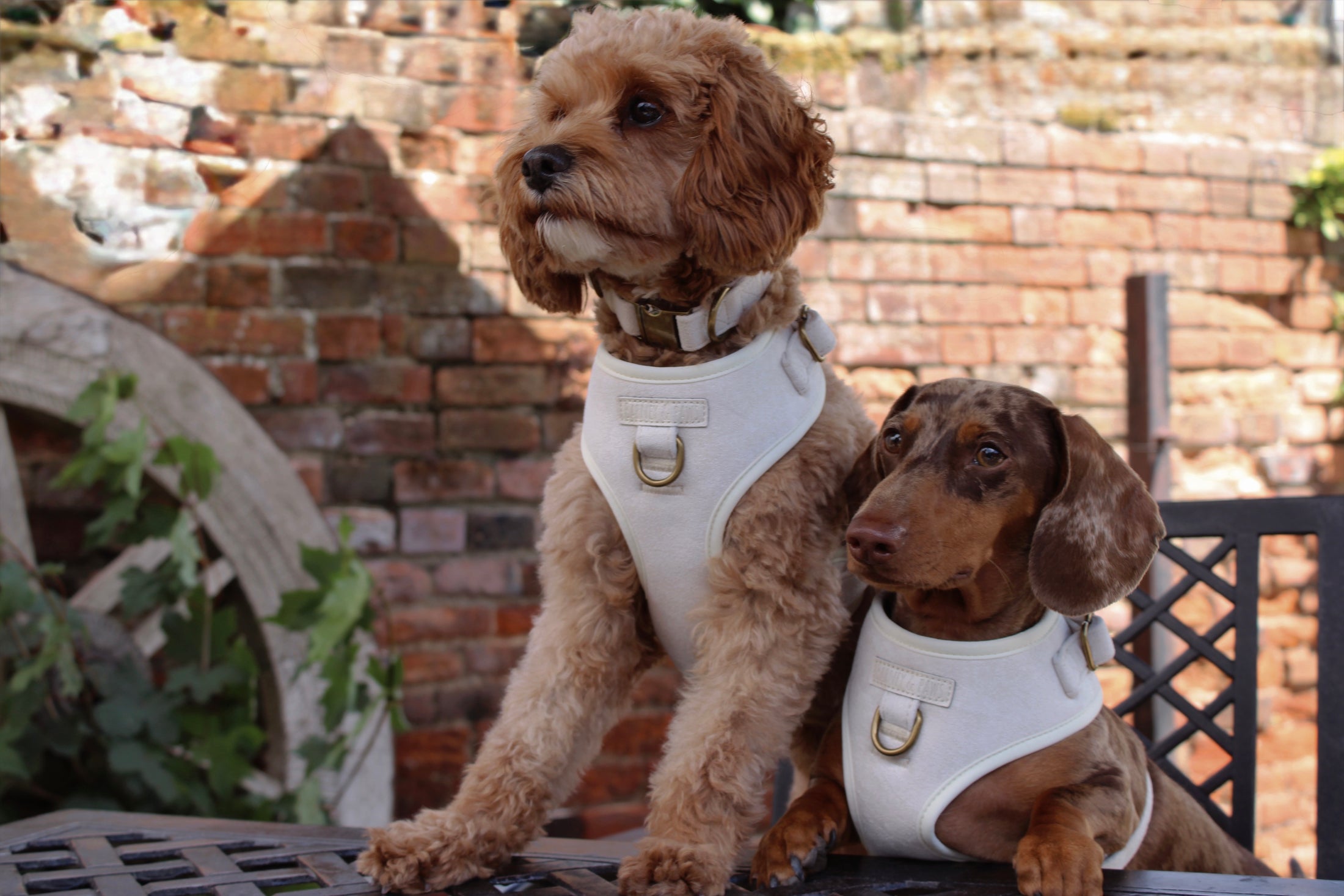 Oatmere Adjustable Neck Harness