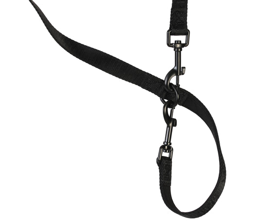 The Essential Multi Lead