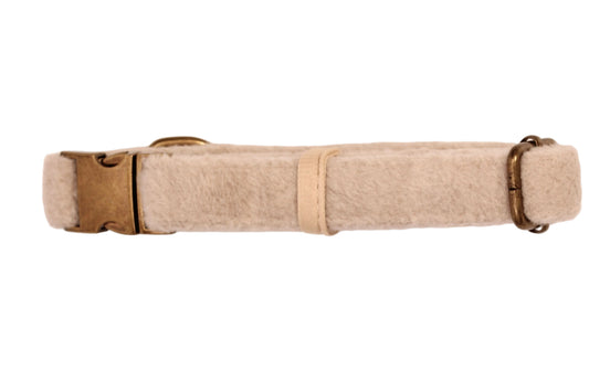 The Teddy Collar
