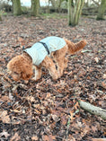 Load image into Gallery viewer, Bark Mac (Biscuit)
