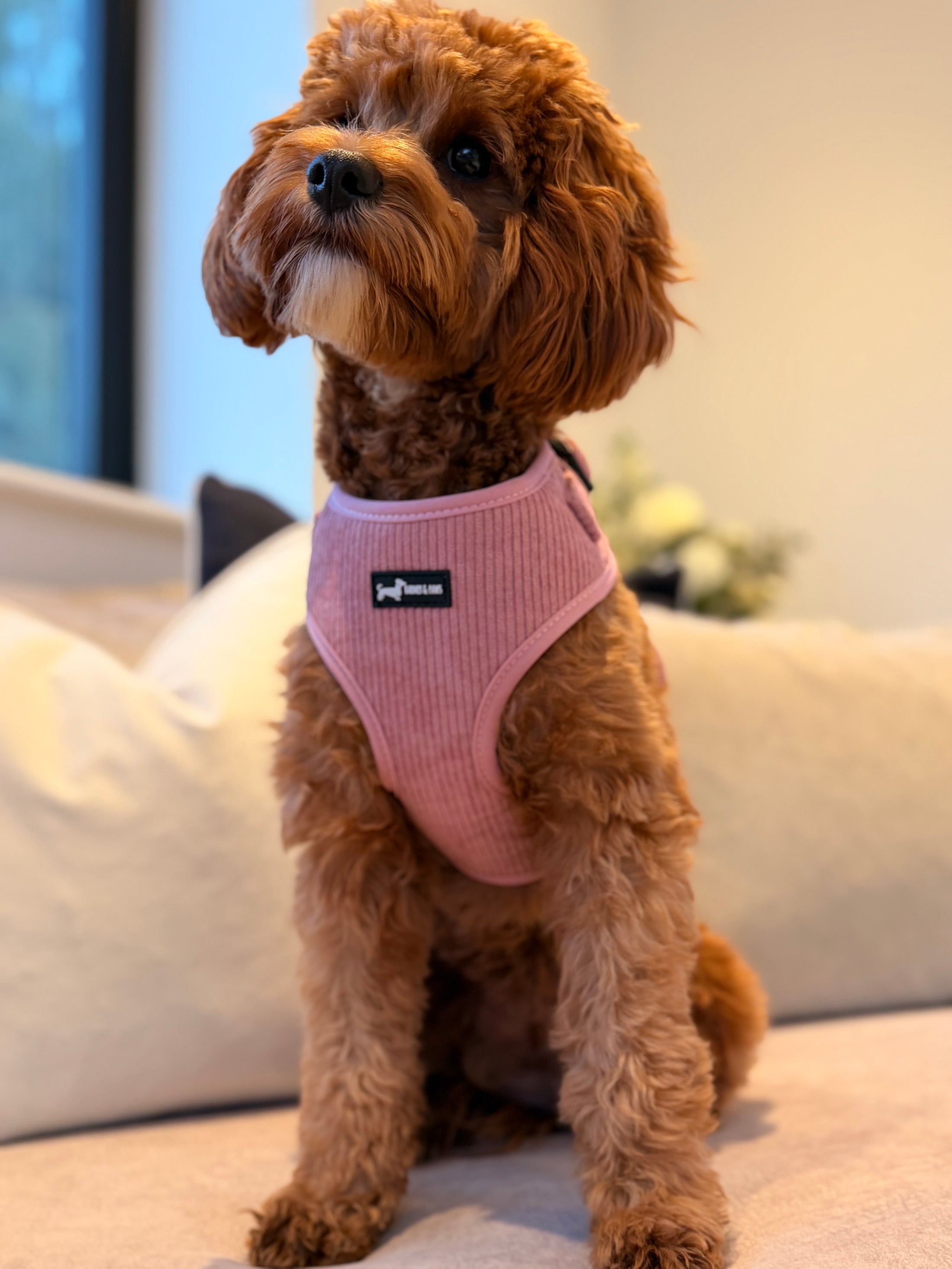 Dusty Rose 3-Piece Set