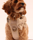 Load image into Gallery viewer, The Teddy 5-Piece Harness Set 3-Click
