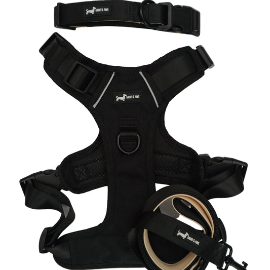 Bark in Black 3-Piece Set -Big dogs only