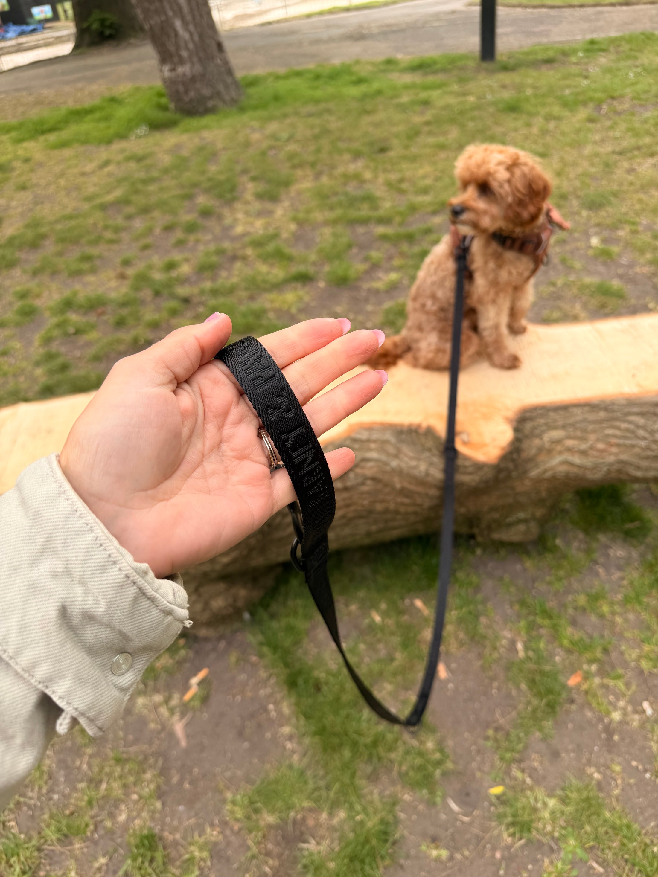 The Essential Multi Lead