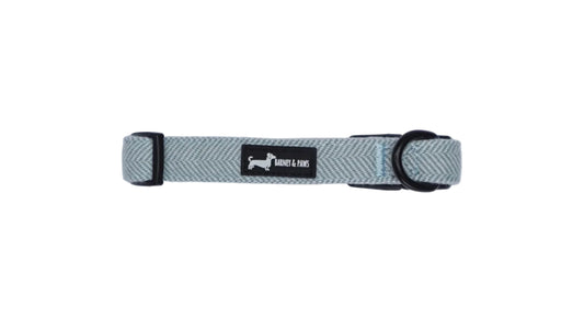 Herringbone Blue Collar