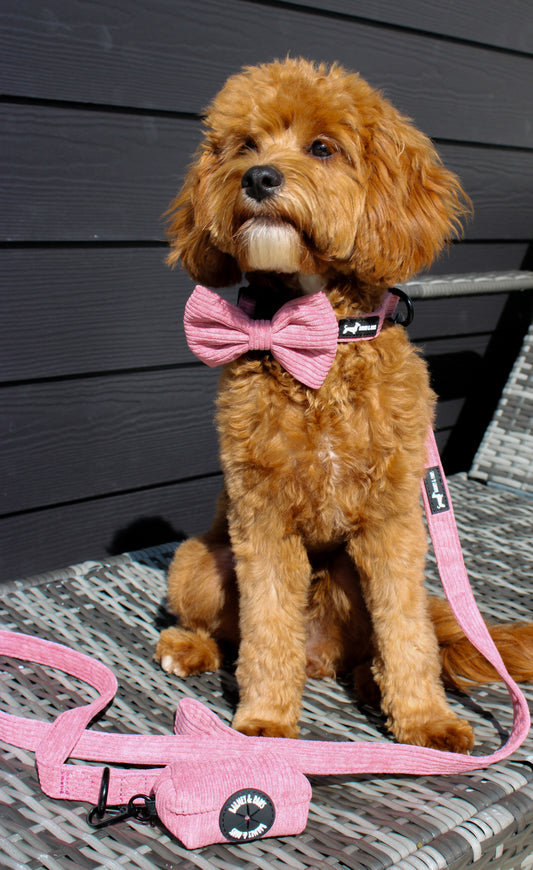Dusty Rose Pink Collar