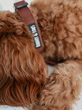 Load image into Gallery viewer, Quilted Chestnut Collar
