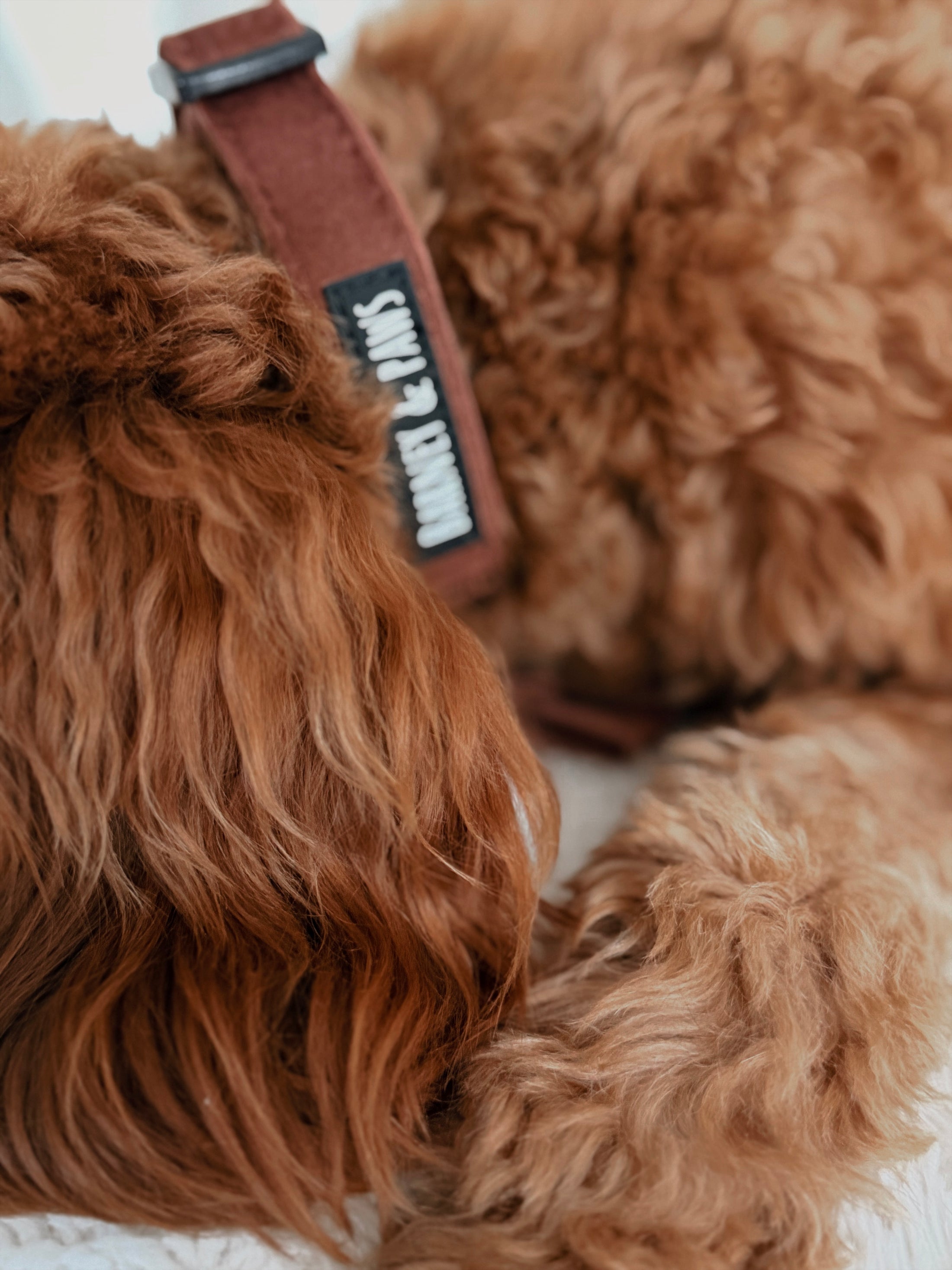Quilted Chestnut Collar