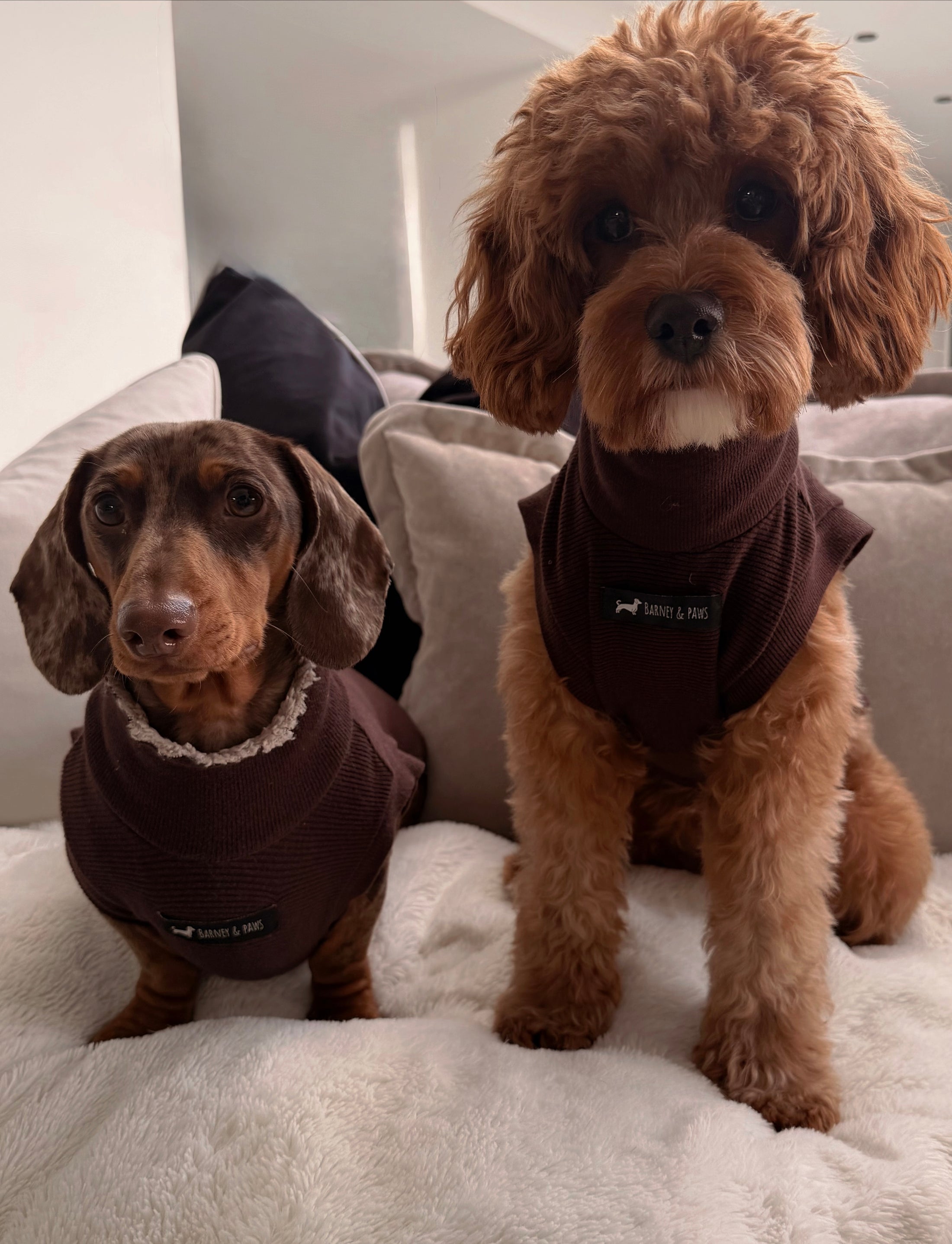 Berry Brown Dog T-Shirt