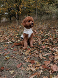 Load image into Gallery viewer, Bark Mac (Biscuit)
