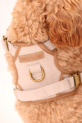 Load image into Gallery viewer, Heritage Three Piece Harness set 3-click

