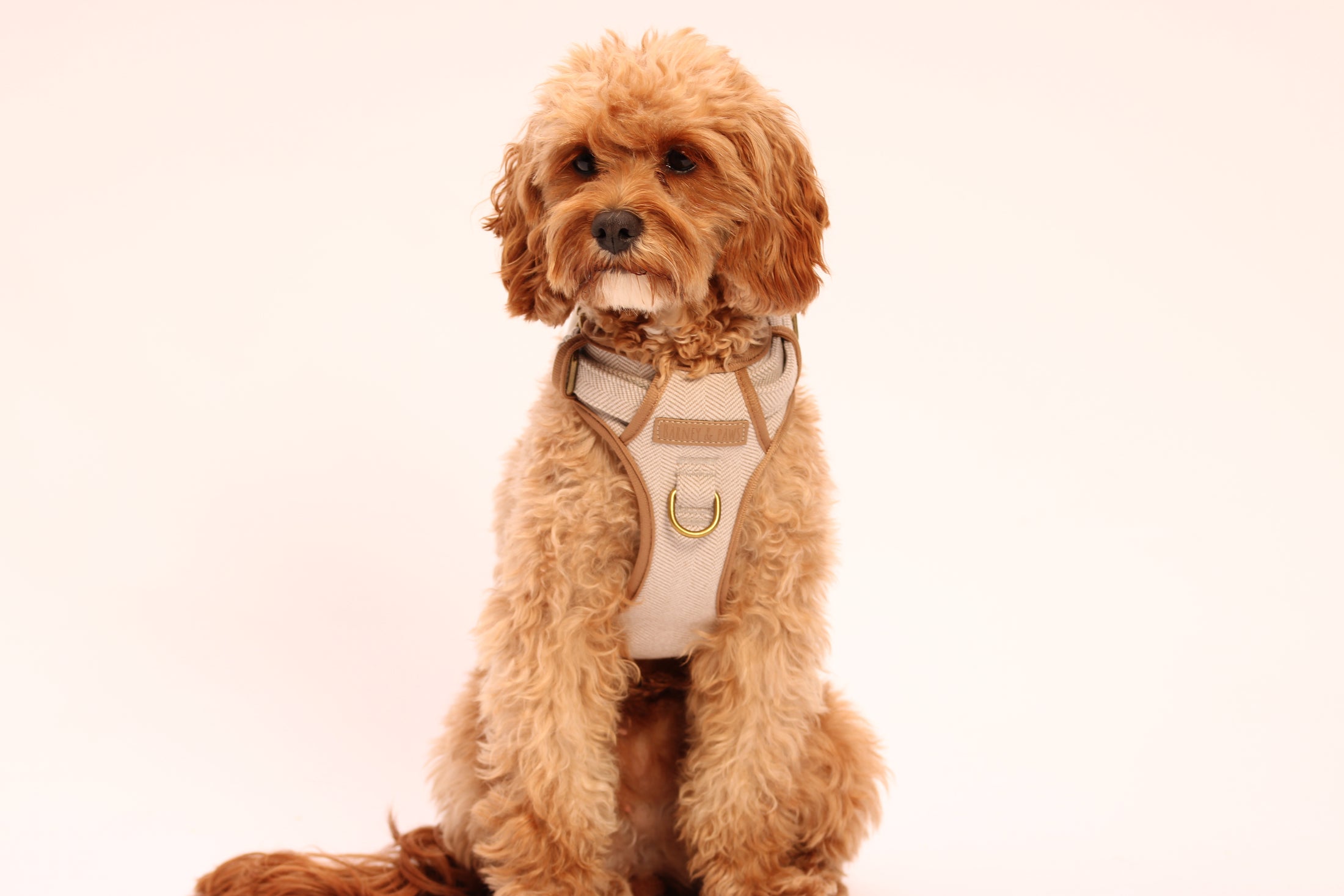 Heritage Three Piece Harness set 3-click