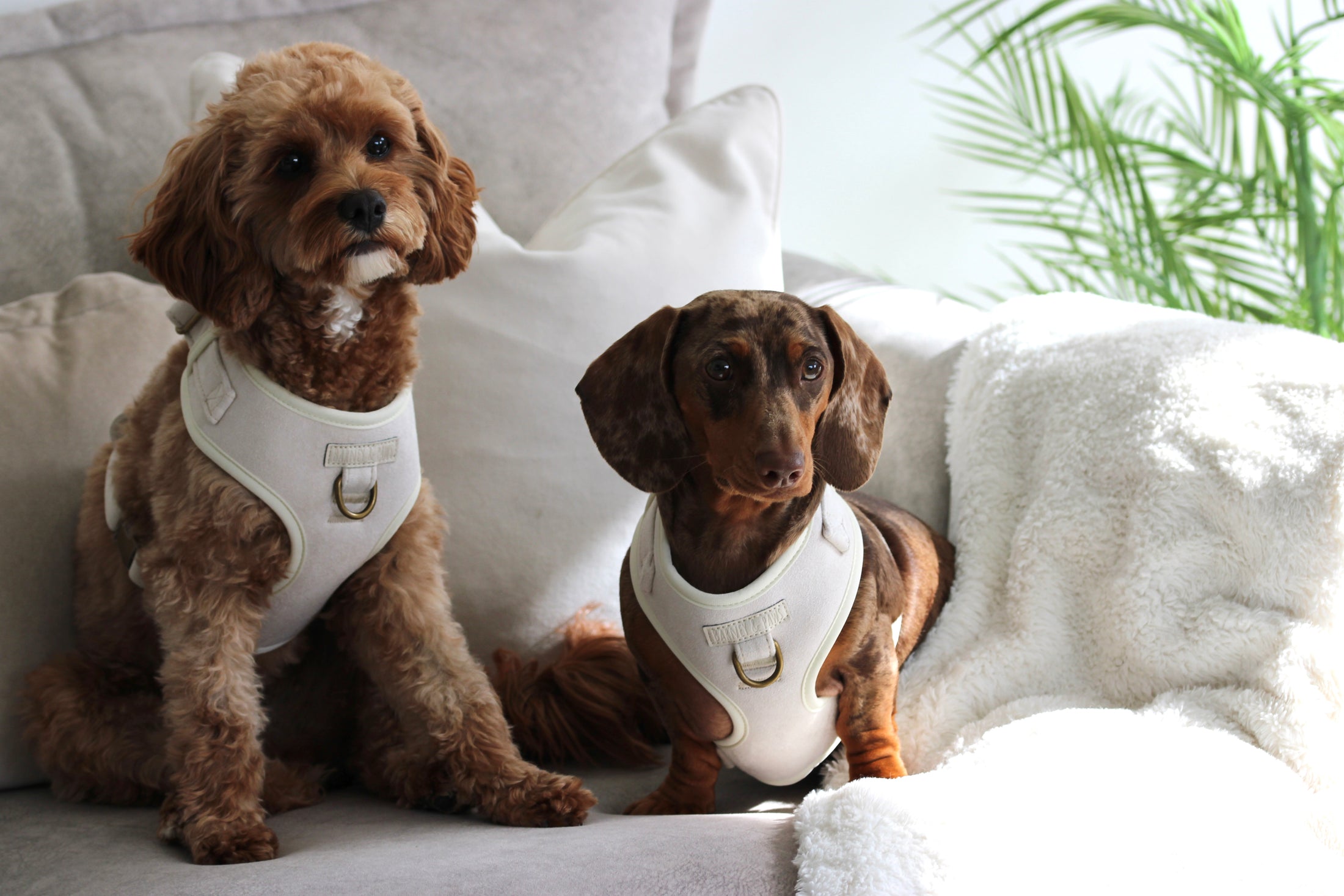 Oatmere Adjustable Neck Harness