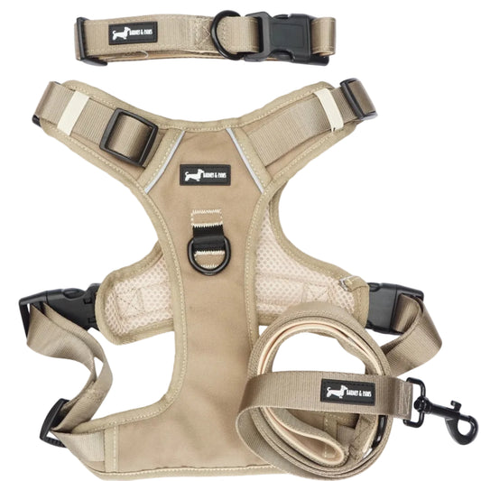 Olive Dune 3-Piece Set