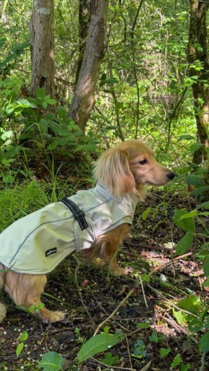 Bark Mac (Biscuit)