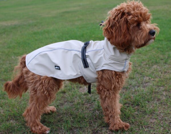 Bark Mac (Biscuit)