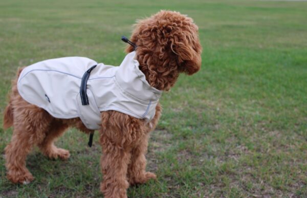 Bark Mac (Biscuit) - Image 2