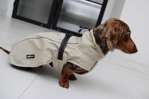 Bark Mac (Biscuit) - Image 4