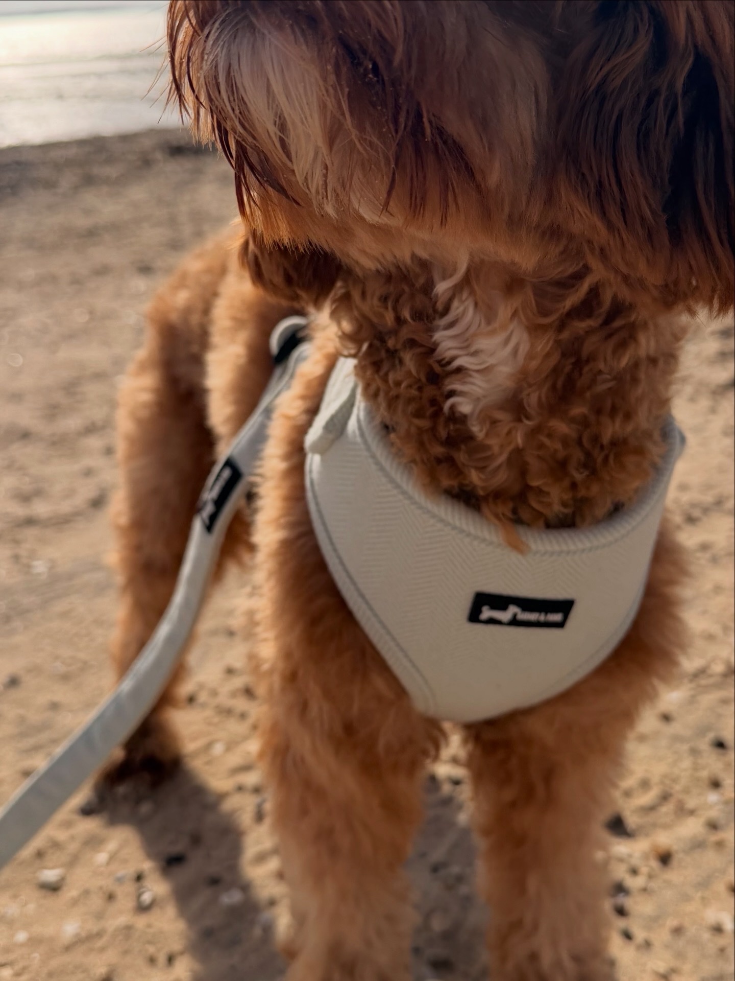 Herringbone Sage Adjustable Neck Harness - Image 3