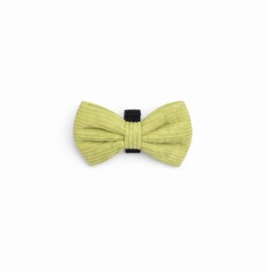 Pawsacchio Green Bow Tie
