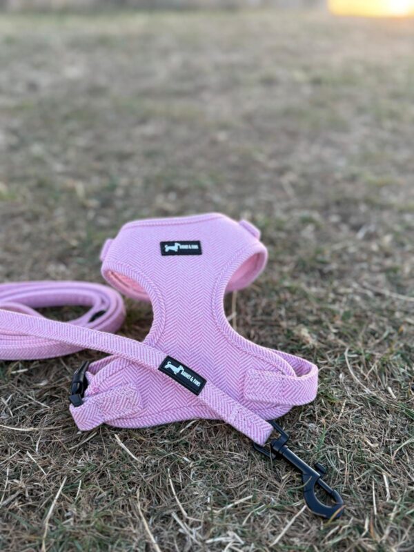 "Herringbone Rose" Adjustable Neck Harness - Image 2