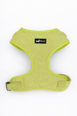 "Pawssachio Green" Adjustable Neck Harness