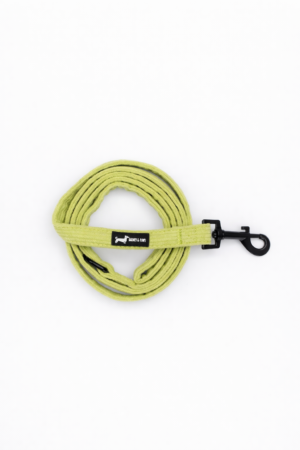 "Pawsacchio Green" Lead