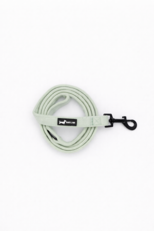 "Herringbone Sage" Lead