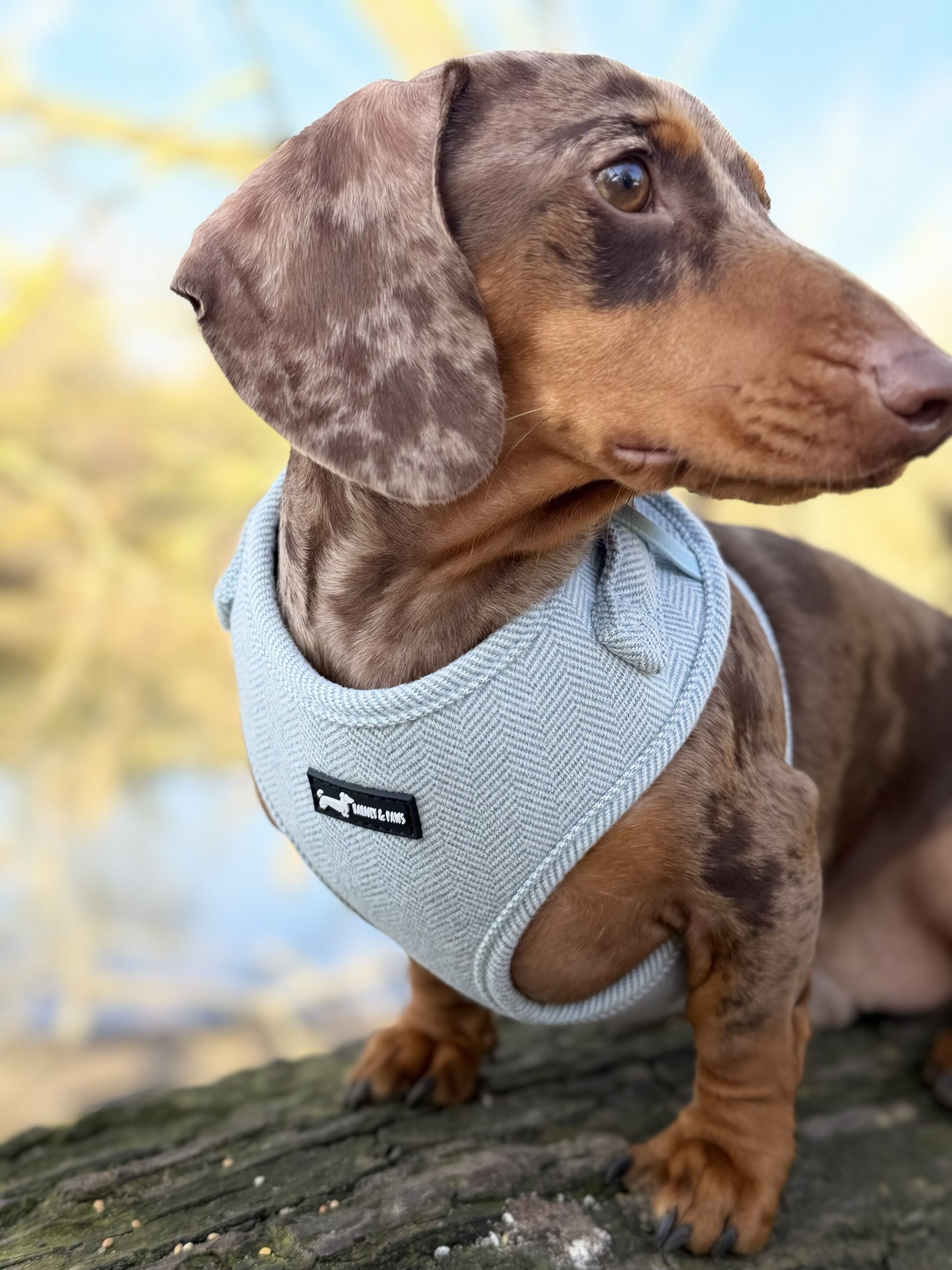 Herringbone Frost Adjustable Neck Harness - Image 3