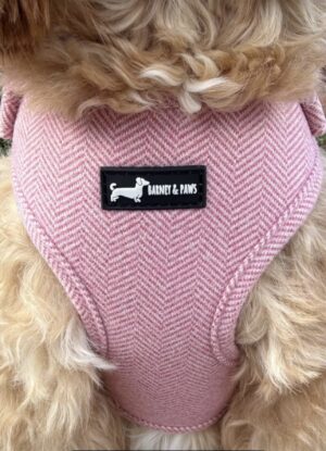 "Herringbone Rose" Adjustable Neck Harness