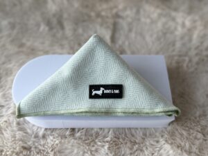 "Herringbone Sage" Bandana