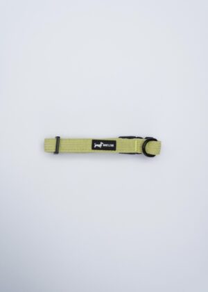 "Pawsacchio Green" Collar