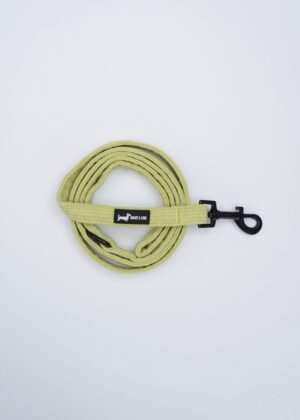 "Pawsacchio Green" Lead