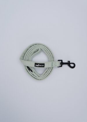 "Herringbone Sage" Lead