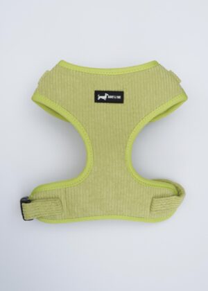 "Pawssachio Green" Adjustable Neck Harness