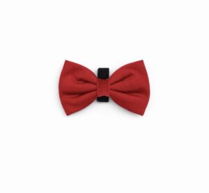 Strawberry Plush Bow Tie