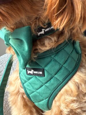"Velvet Forest" Adjustable Neck Harness