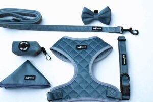 LIlac Blue Stitch 6-piece set