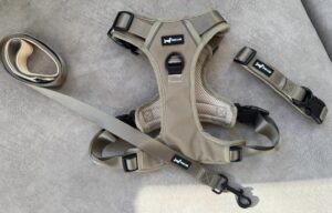 "Olive Dune" 3-Piece Set